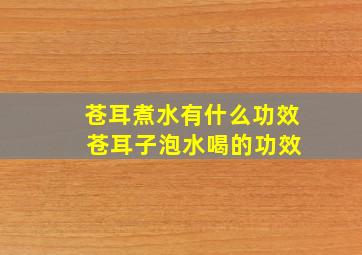 苍耳煮水有什么功效 苍耳子泡水喝的功效